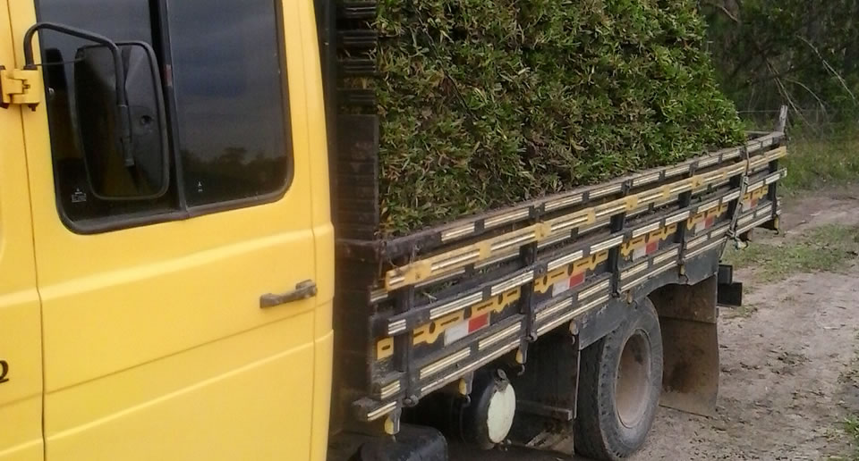 Gramados Litoral Norte RS